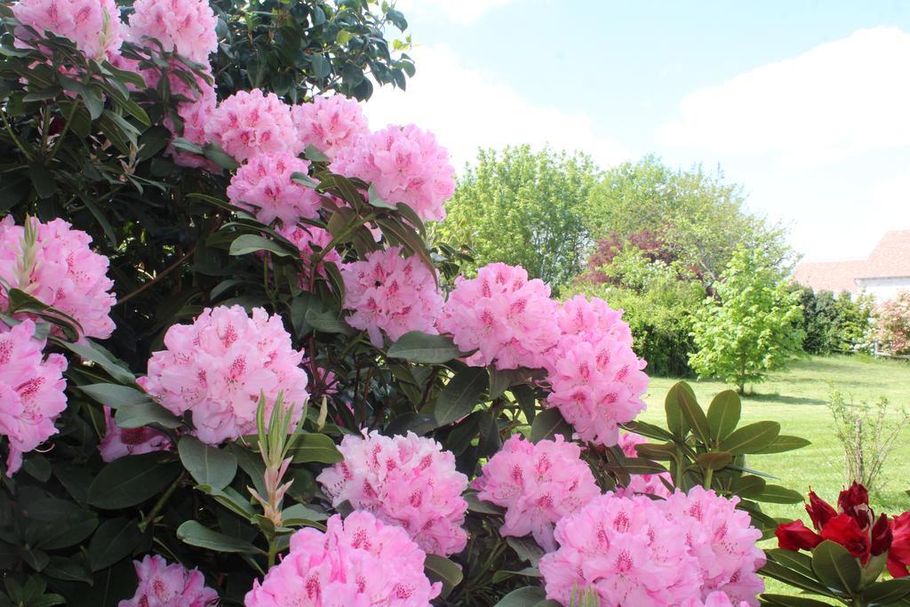 Saint-Règle Le Clos Des Roses المظهر الخارجي الصورة